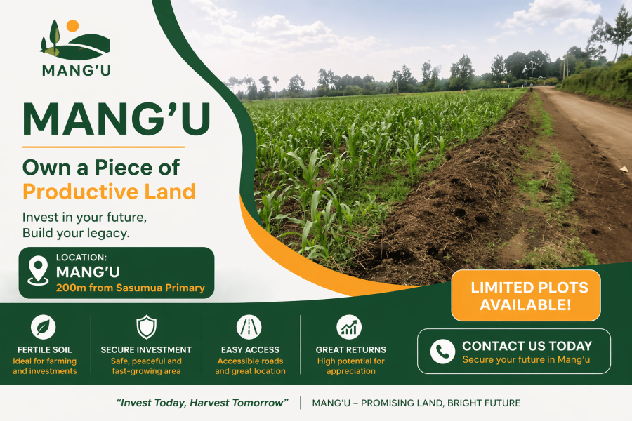 mang'u project