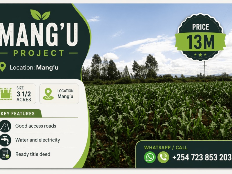 mangu flyer